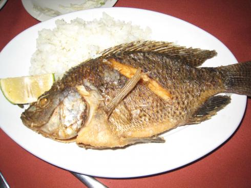 彼德魚.jpg